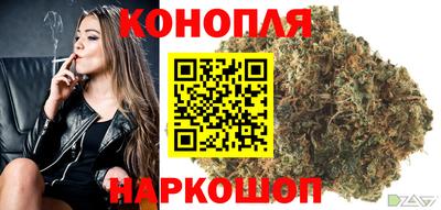 гидра Кандалакша