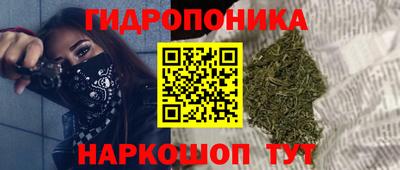 гидра Кандалакша