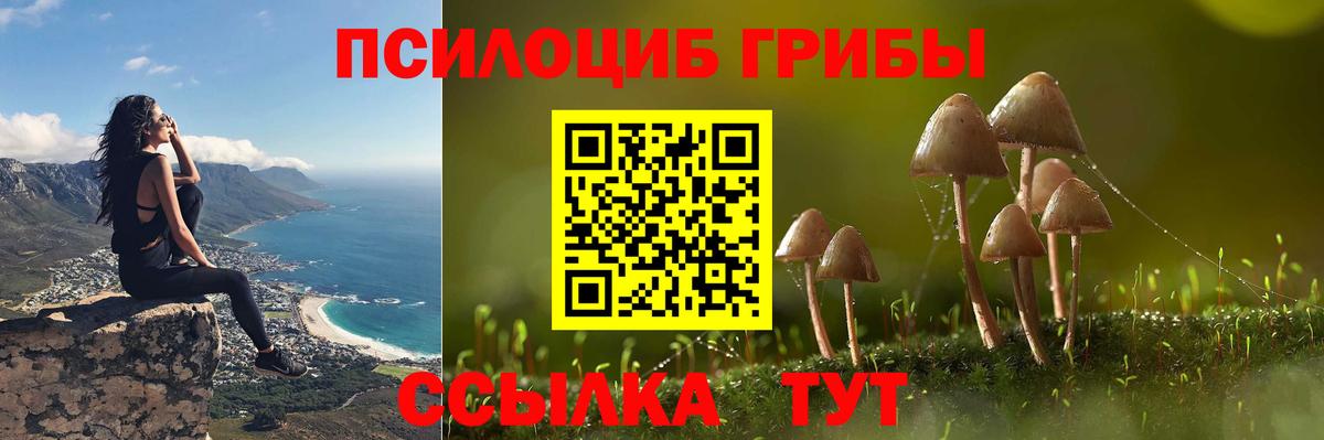 Псилоцибиновые грибы MAGIC MUSHROOMS  Псилоцибиновые грибы Psilocybe  Зерноград  Вход с VPN 